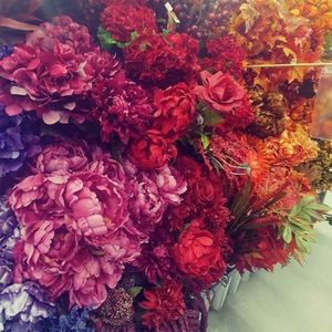 Meet your Posher, Fern